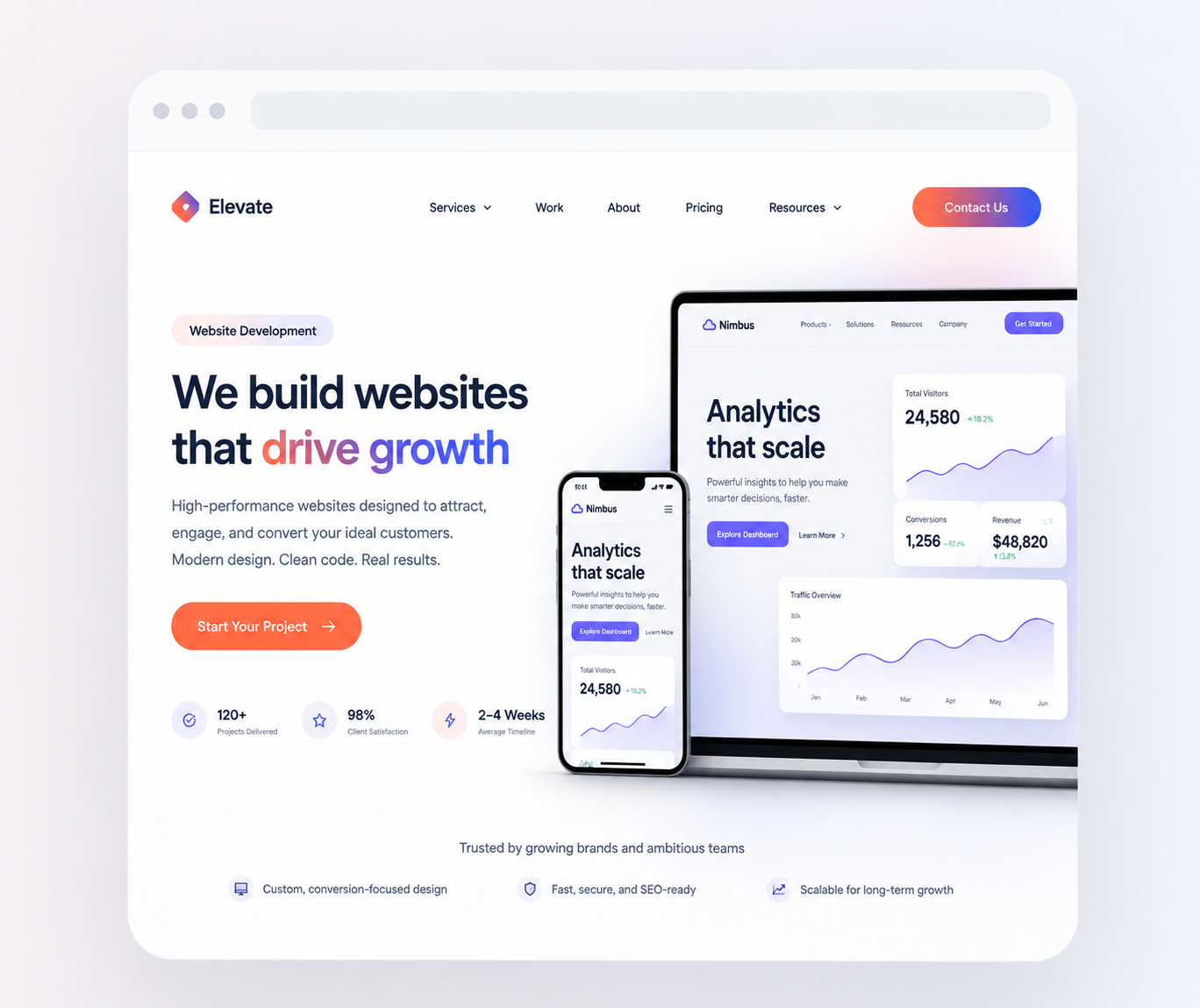 Professional website development preview